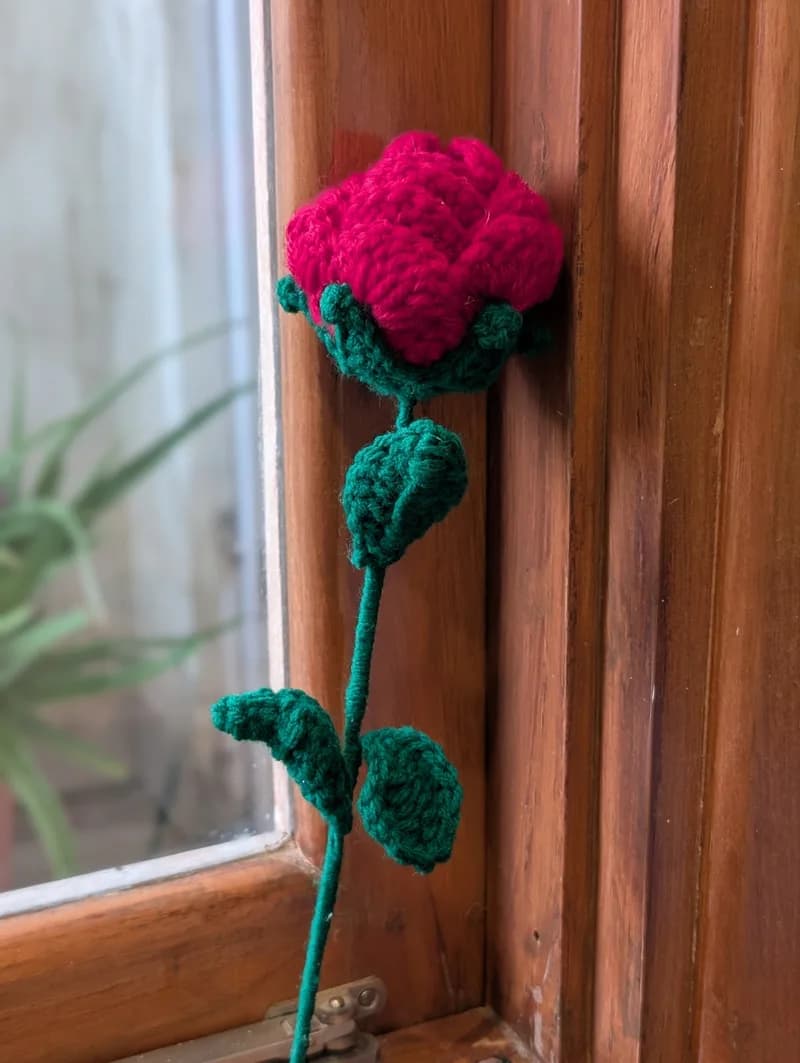 Rose 