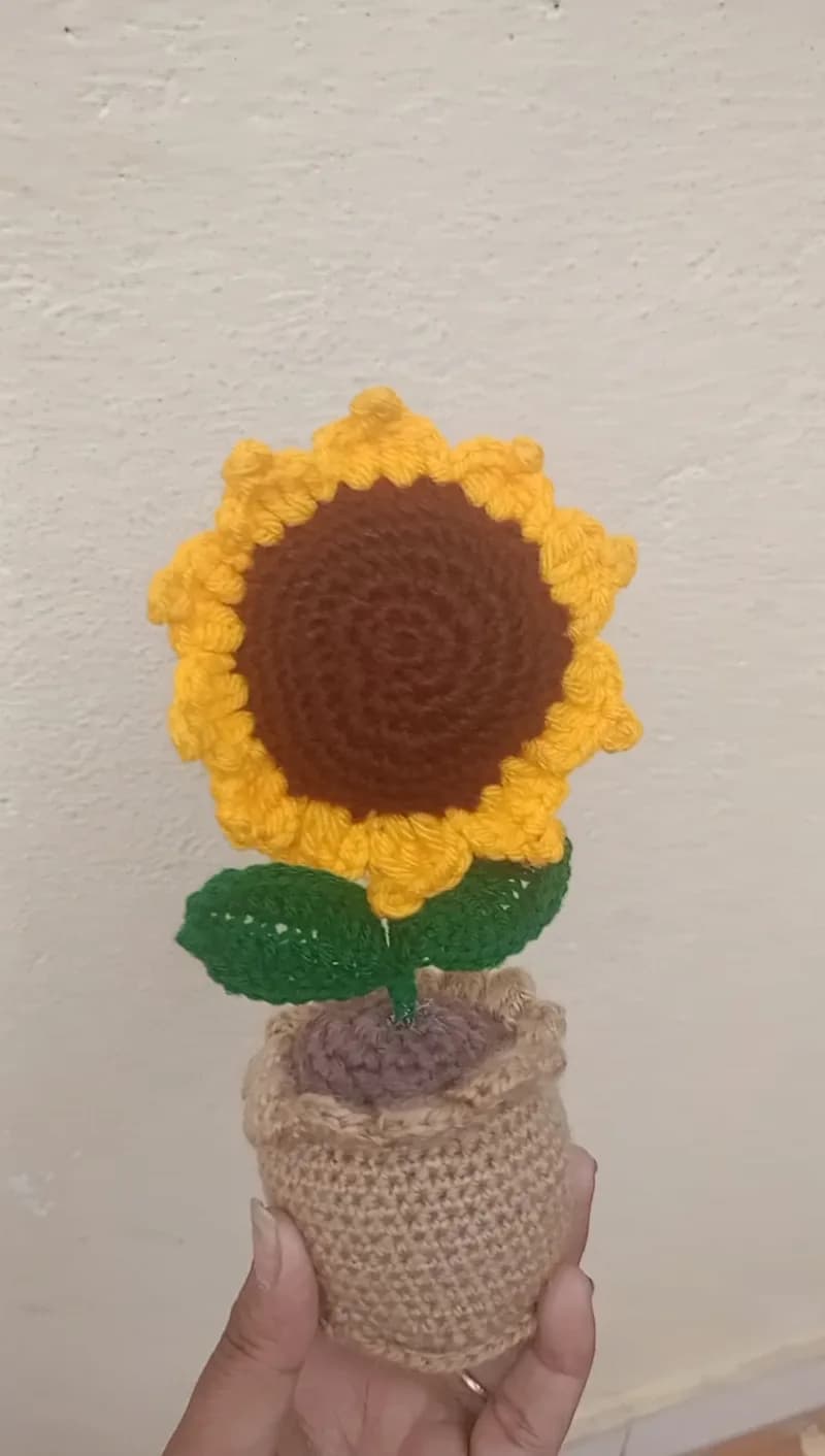 Crochet Pulse